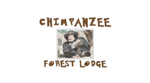 chimpanzee forest lodge partner